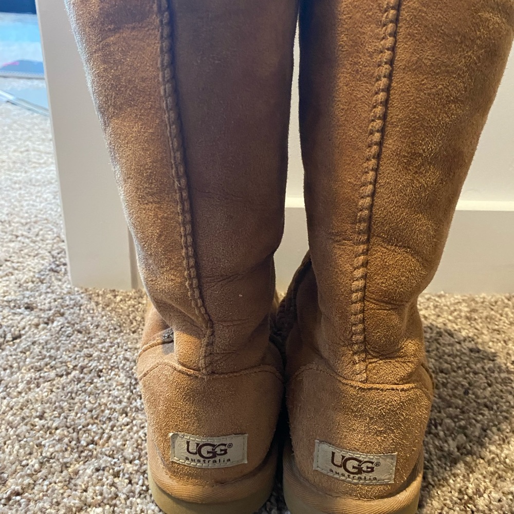 Tall chestnut ugg boots